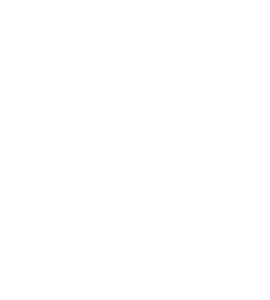 Switch Logo
